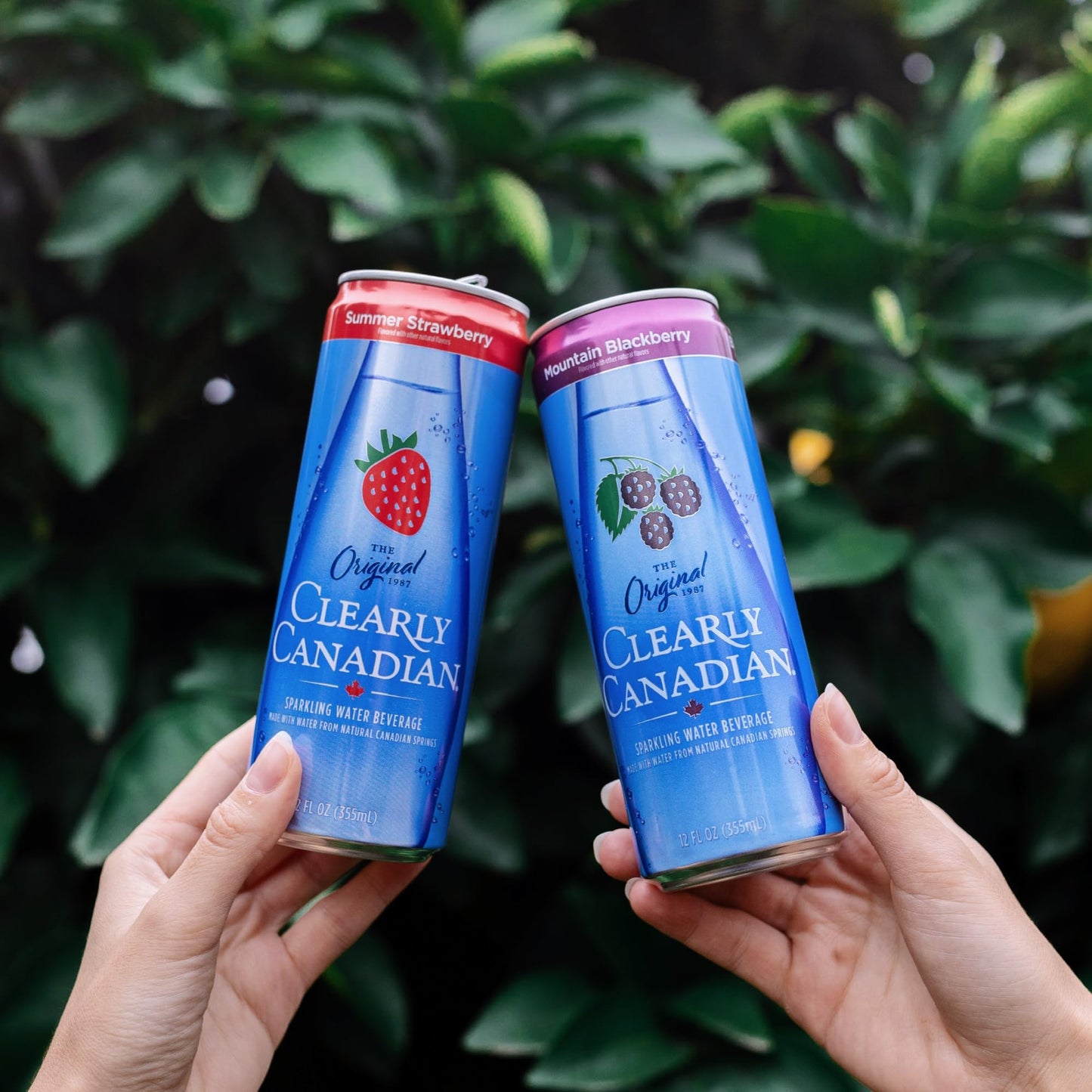 Clearly Canadian Mountain Blackberry Sparkling Spring Water Beverage, Natural & Carbonated, Flavored Seltzer Water, 1 Case (24 C