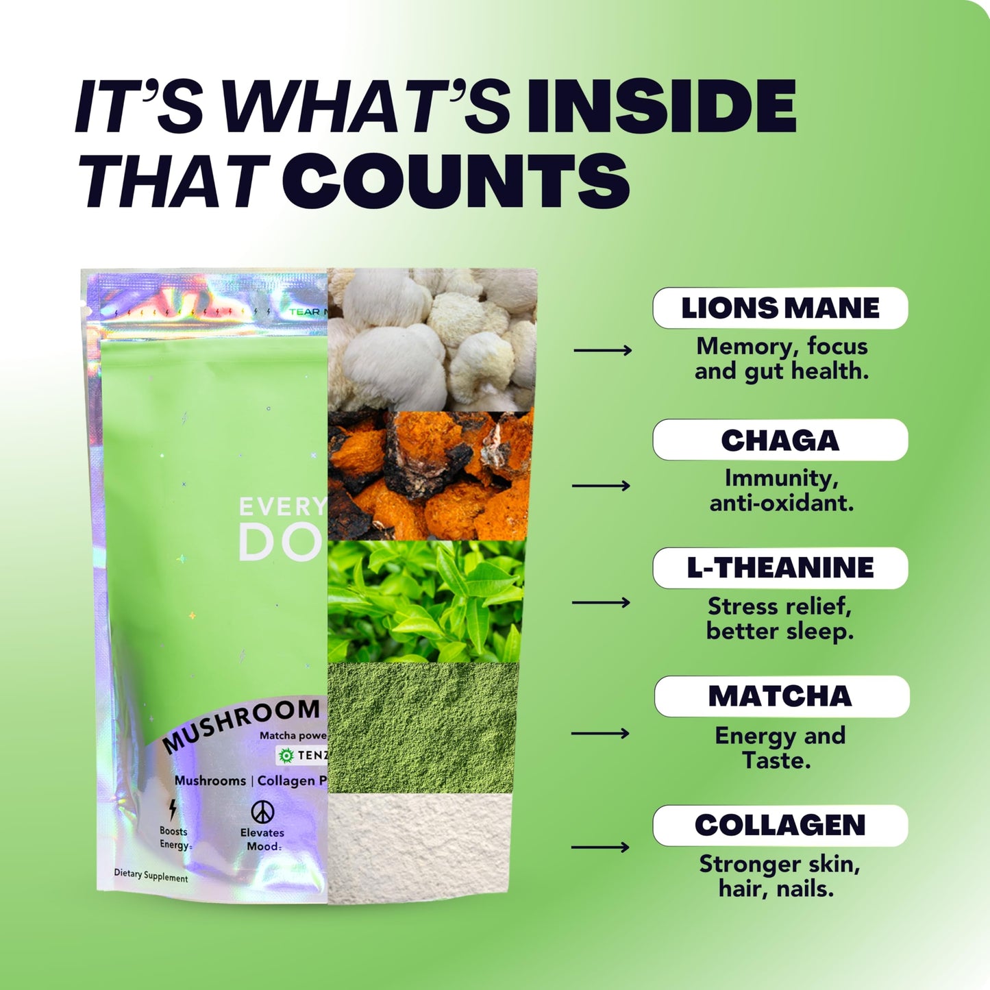 Everyday Dose Mushroom Matcha Powder with Collagen & L-Theanine - 6.3 oz