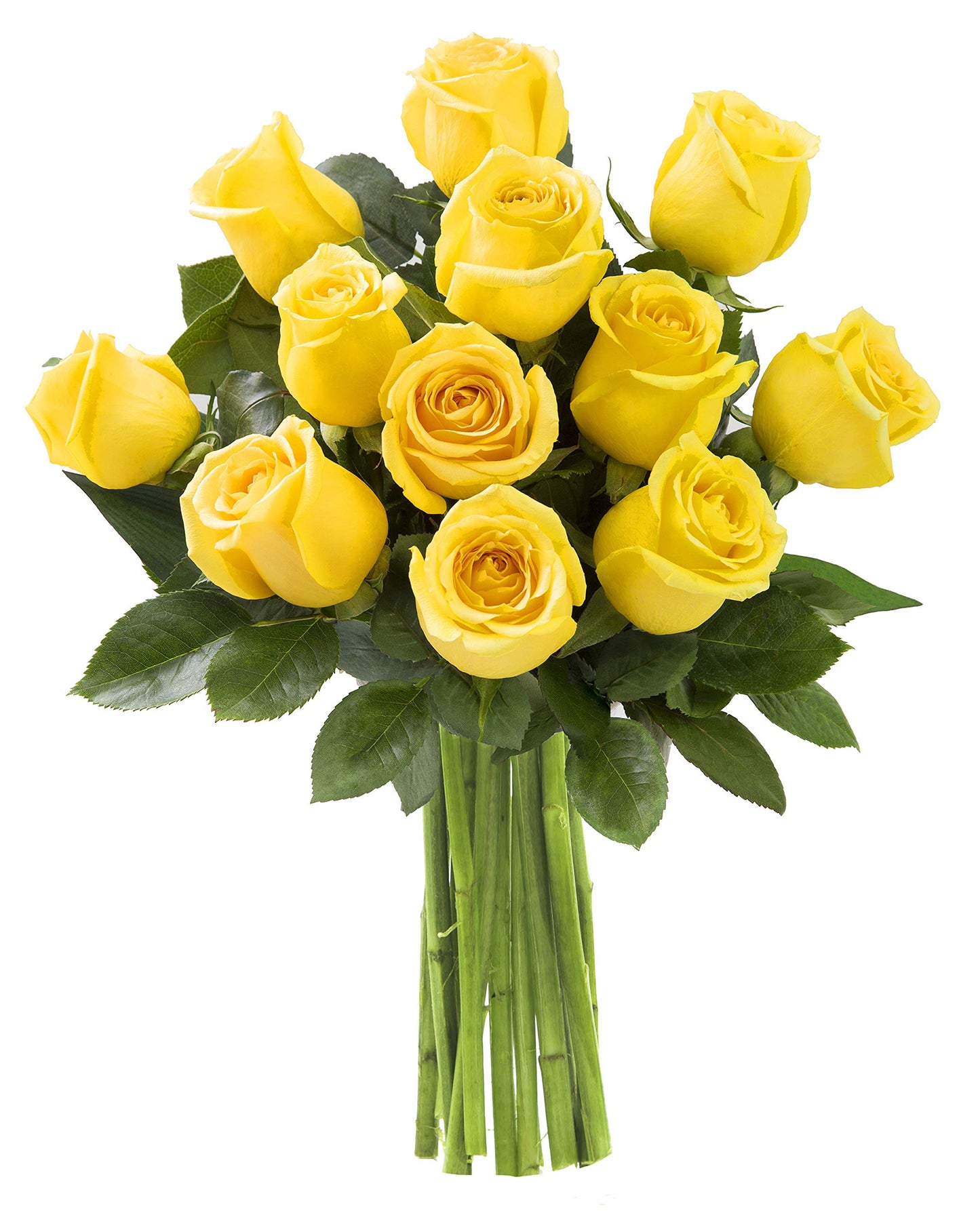 KaBloom Fresh Yellow Roses Bouquet - 12 Long-Stem Flowers for Gifts - Fall Collection - Model KADF4255-V999-A999