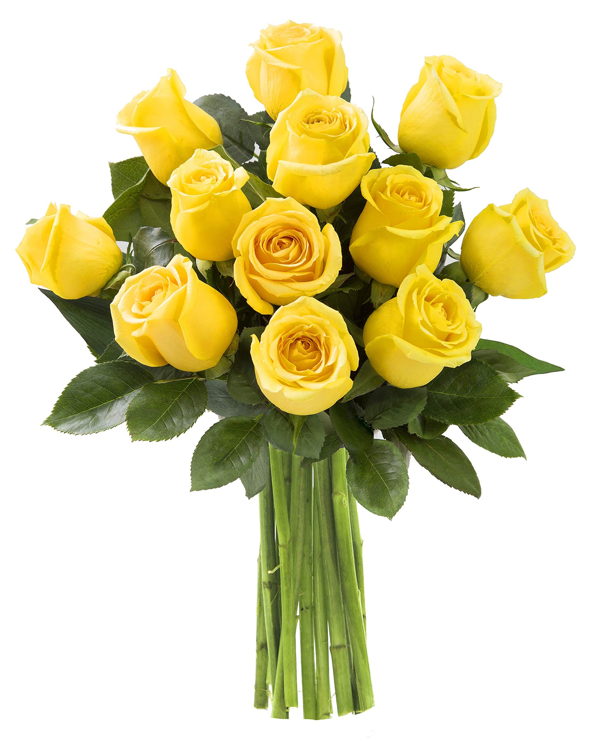 KaBloom Fresh Yellow Roses Bouquet - 12 Long-Stem Flowers for Gifts - Fall Collection - Model KADF4255-V999-A999