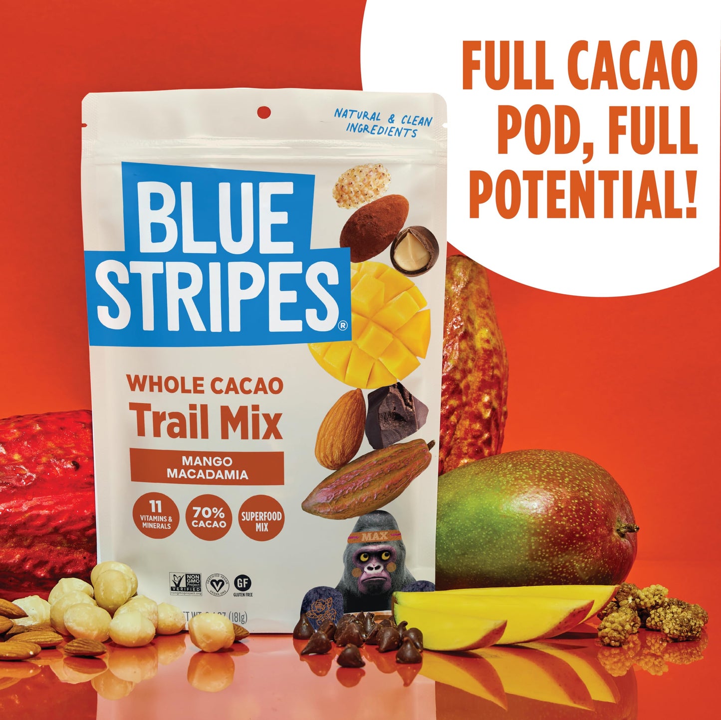 Blue Stripes - Trail Mix, 70% Chocolate Chips, Almonds, Macadamia Nuts, Mango, Healthy Snacks for Adults, Whole 70% Cacao, With