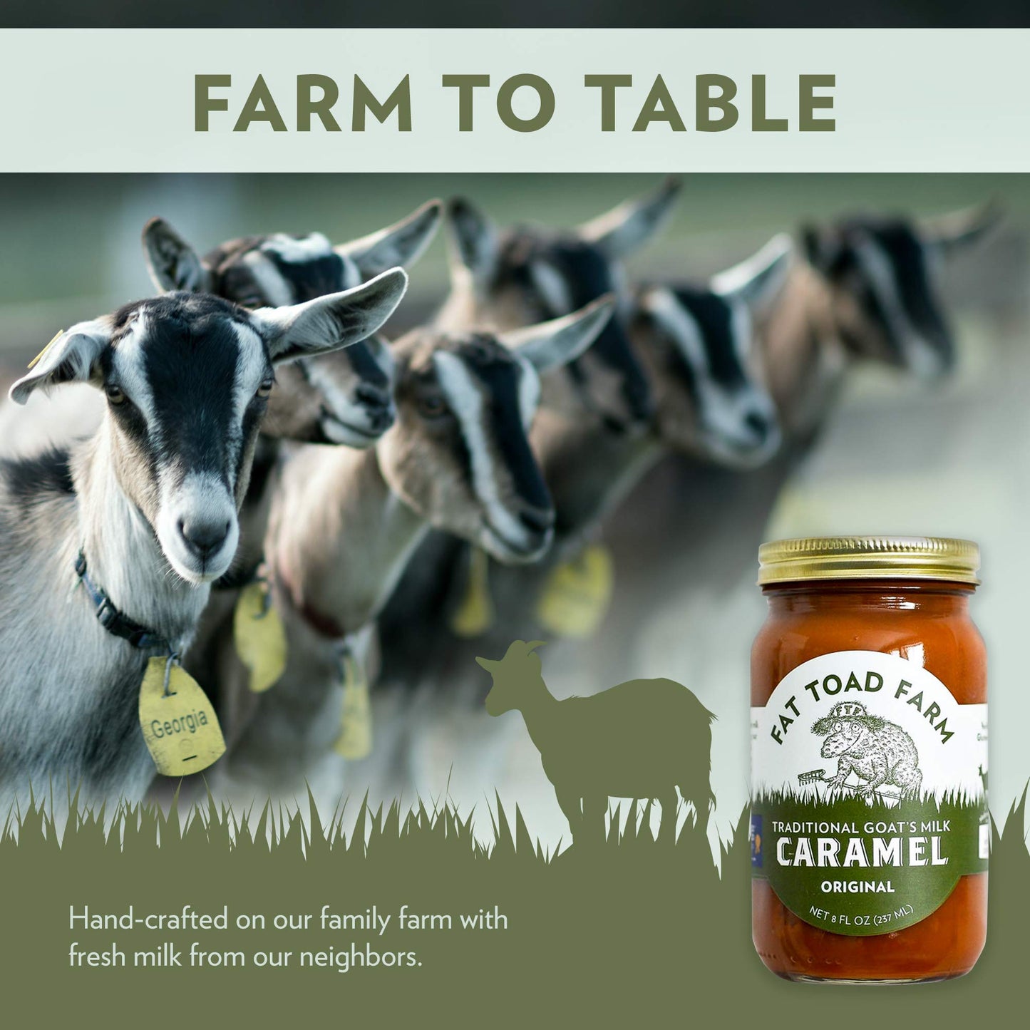 Fat Toad Farm Traditional Goats Milk Caramel Sauce/Cajeta, Original, Gluten Free, 8 fl oz