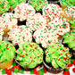 Christmas Sprinkles Bulk - 2.2 LB - Xmas Tree Jimmies - Red, Green & White Confetti for Dessert Decorating - Holiday Baking Topp