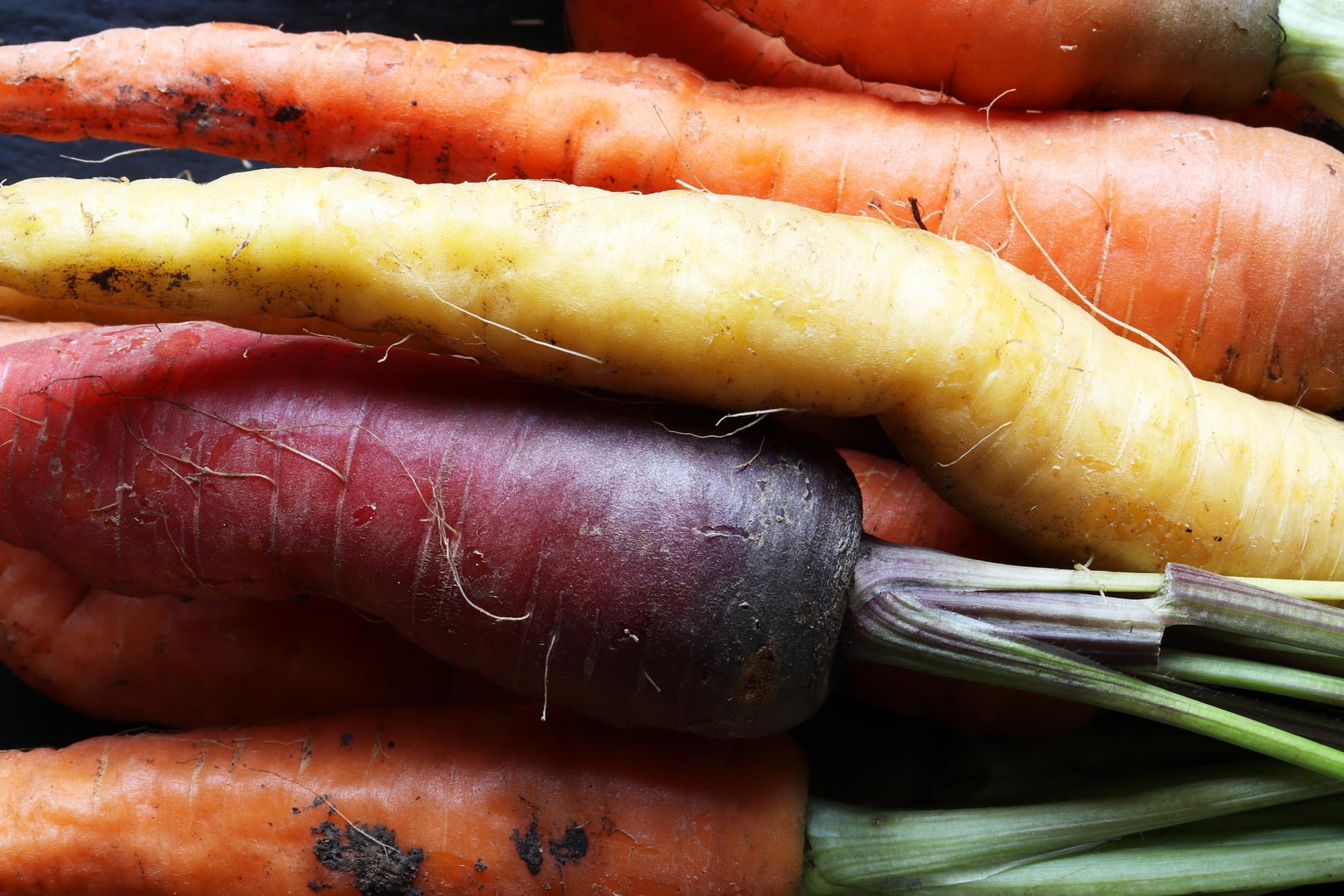 Organic Fresh Rainbow Carrots by RawJoy Farms, 4 Pound