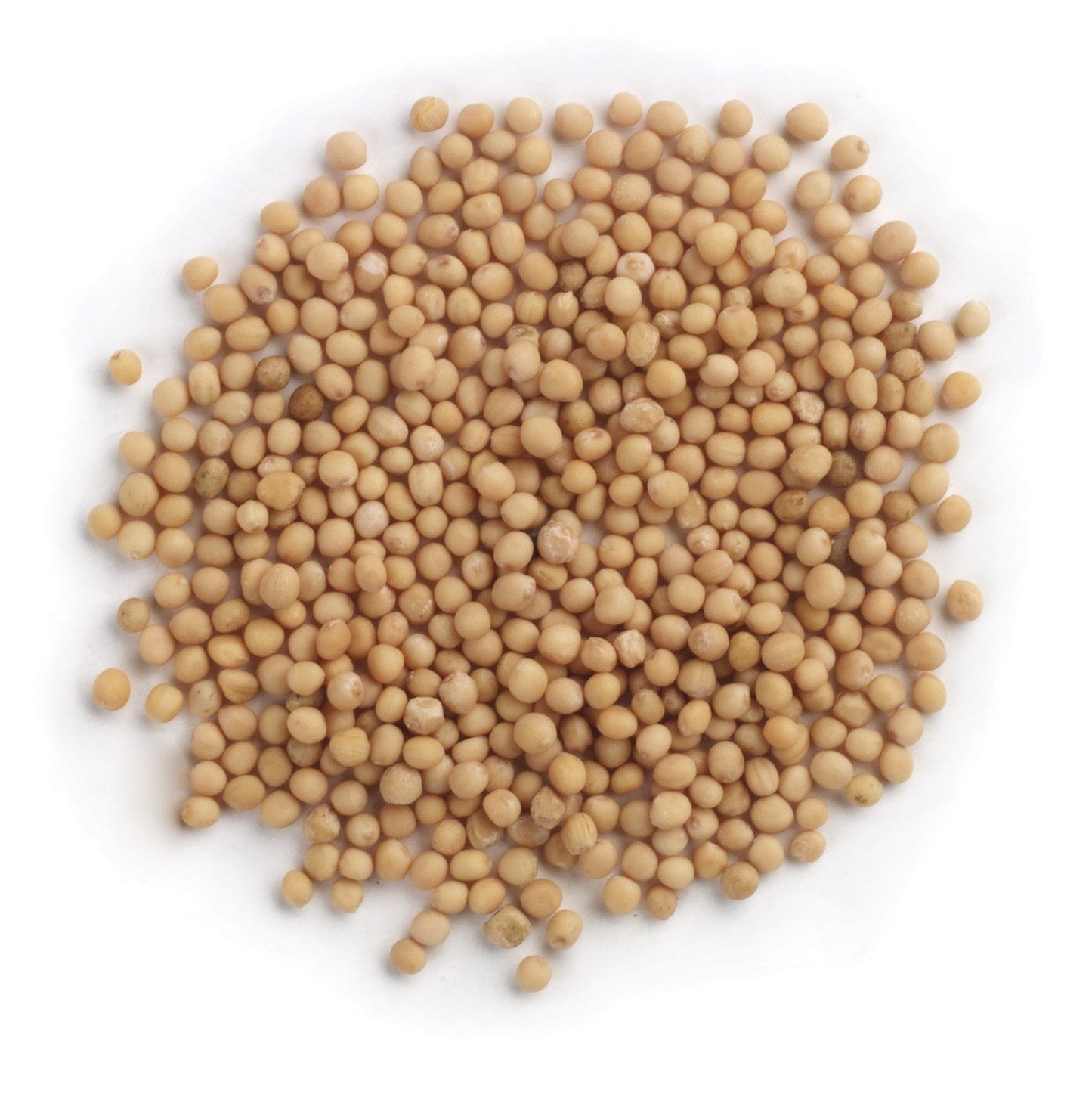 Frontier Mustard Seed, Yellow Whole (#1 Grade), 16 Ounce Bags (Pack of 3)
