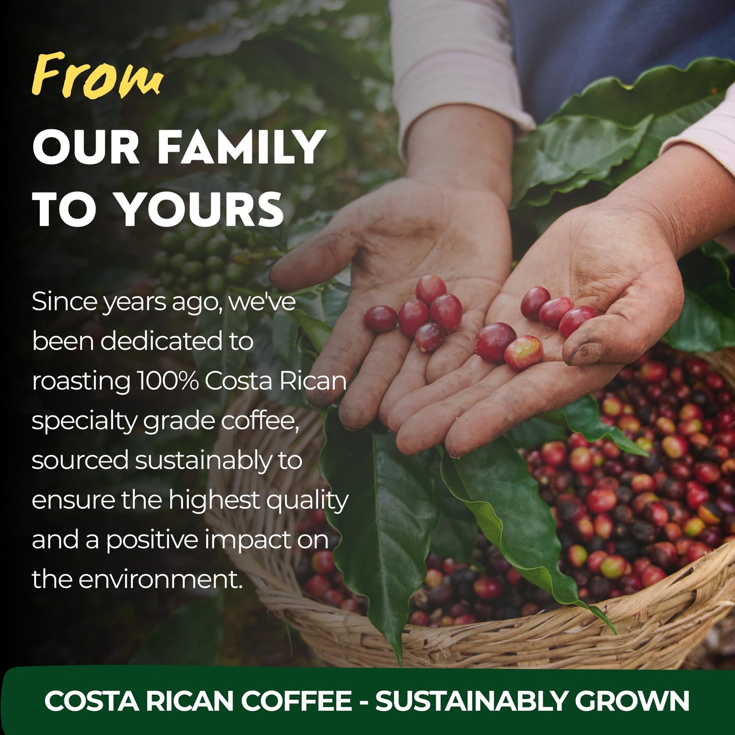 Costa Rican Coffee, Espresso Roast Ground (8.8Oz) - 100% Fresh Arabica Beans, Shade Grown & Localy Sourced - Costa Rican Souvenirs, Perfect Coffee Lover Gift