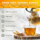 FRESHDRINKUS Premium Barley Tea Bags, 100% Natural Herbal Tea, 120 Bags