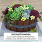 Global Sugar Art Succulents Parva Assortment Sugar Cake Flowers, 3 Count, Green Parva