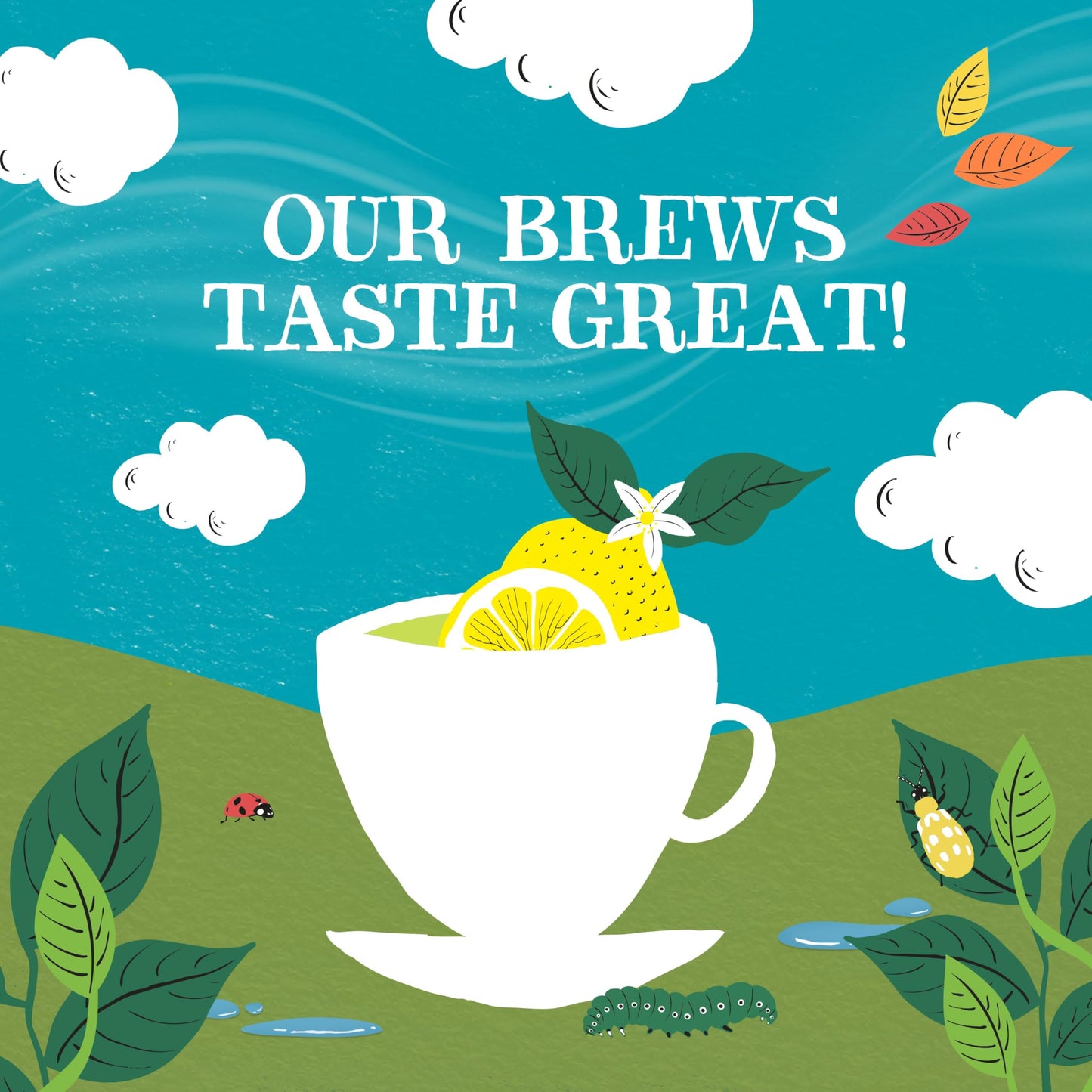 Clipper Tea Green Tea & Lemon Teabags, USDA Organic, 50 Count (Pack of 4)