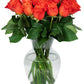 Benchmark Bouquets - 24 Stem Premium Orange Roses (Glass Vase Included) - Fresh Flowers for Delivery - Gift for Graduation, Birt