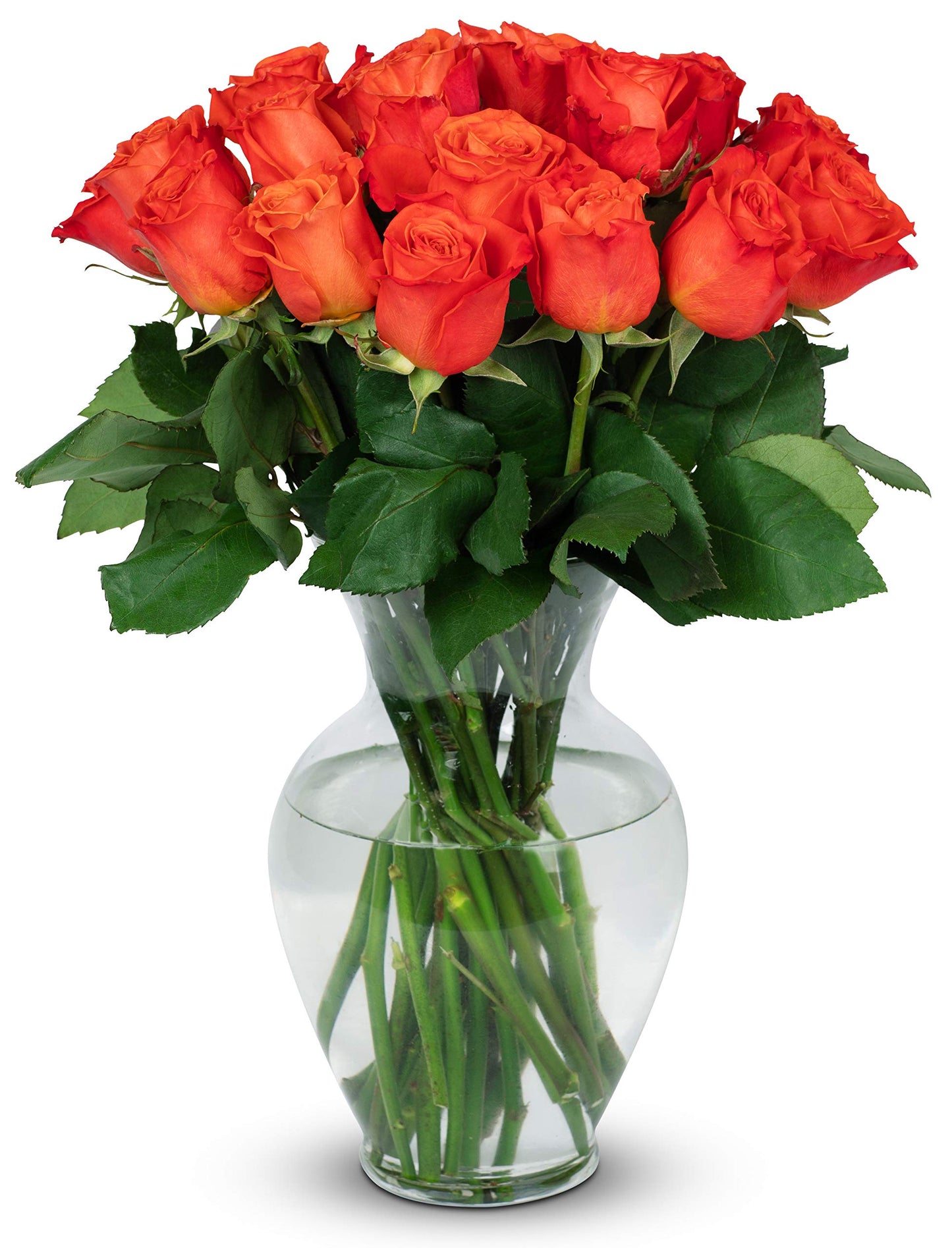 Benchmark Bouquets - 24 Stem Premium Orange Roses (Glass Vase Included) - Fresh Flowers for Delivery - Gift for Graduation, Birt