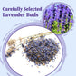 FullChea Lavender Tea Bags - Caffeine-Free Floral Tea for Relaxation - 50 Count
