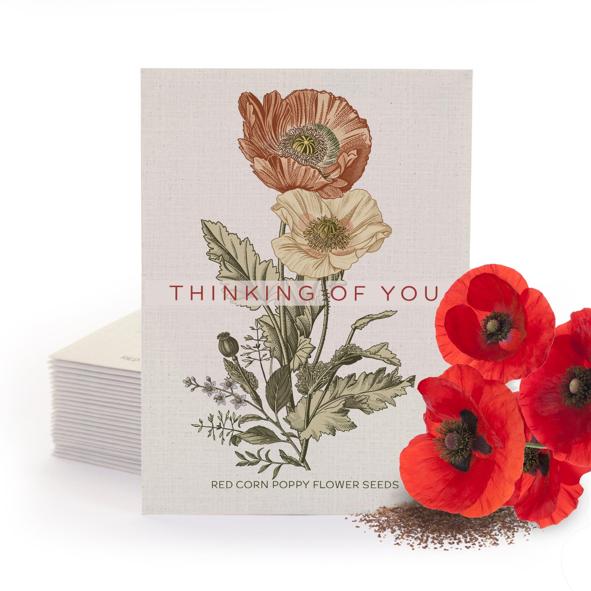Bentley Classic Vintage Art Poppy Packets, Thinking Of You Flanders Co –  Groceryeshop