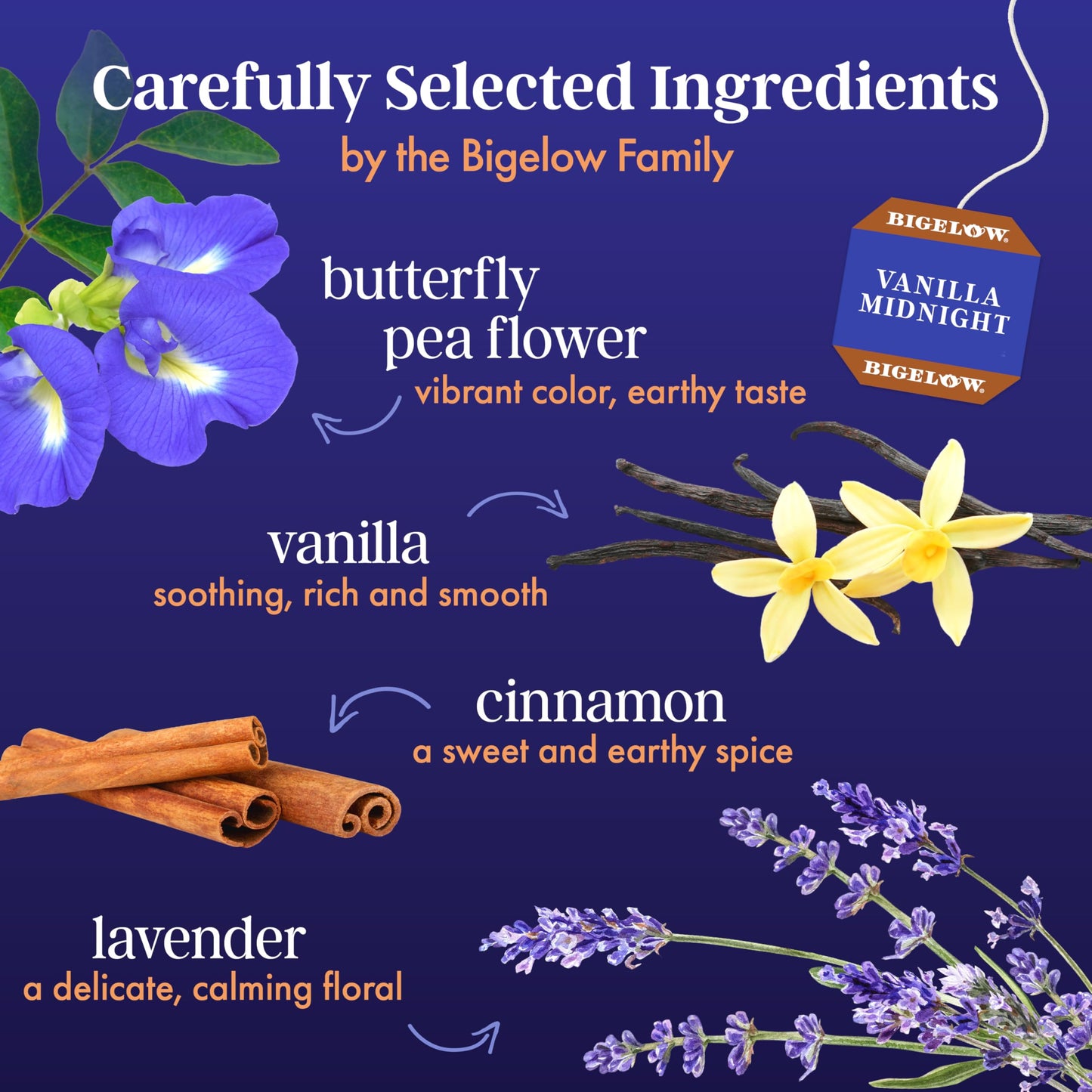 Bigelow Tea Vanilla Midnight Butterfly Pea Flower, Caffeine Free, 108 Total Tea Bags, 18 Count (Pack of 6)