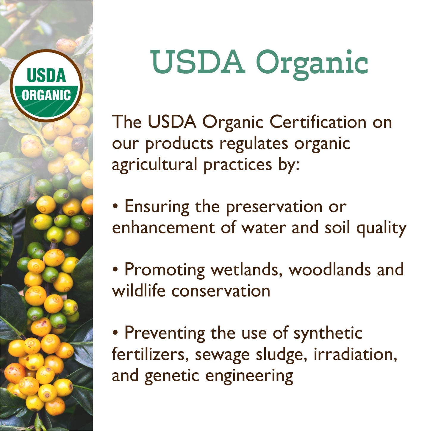 Fresh Roasted Coffee, Unroasted Organic Ethiopian Yirgacheffe, Fair Trade Kosher, Mold & Mycotoxin Tested, 5 Pound