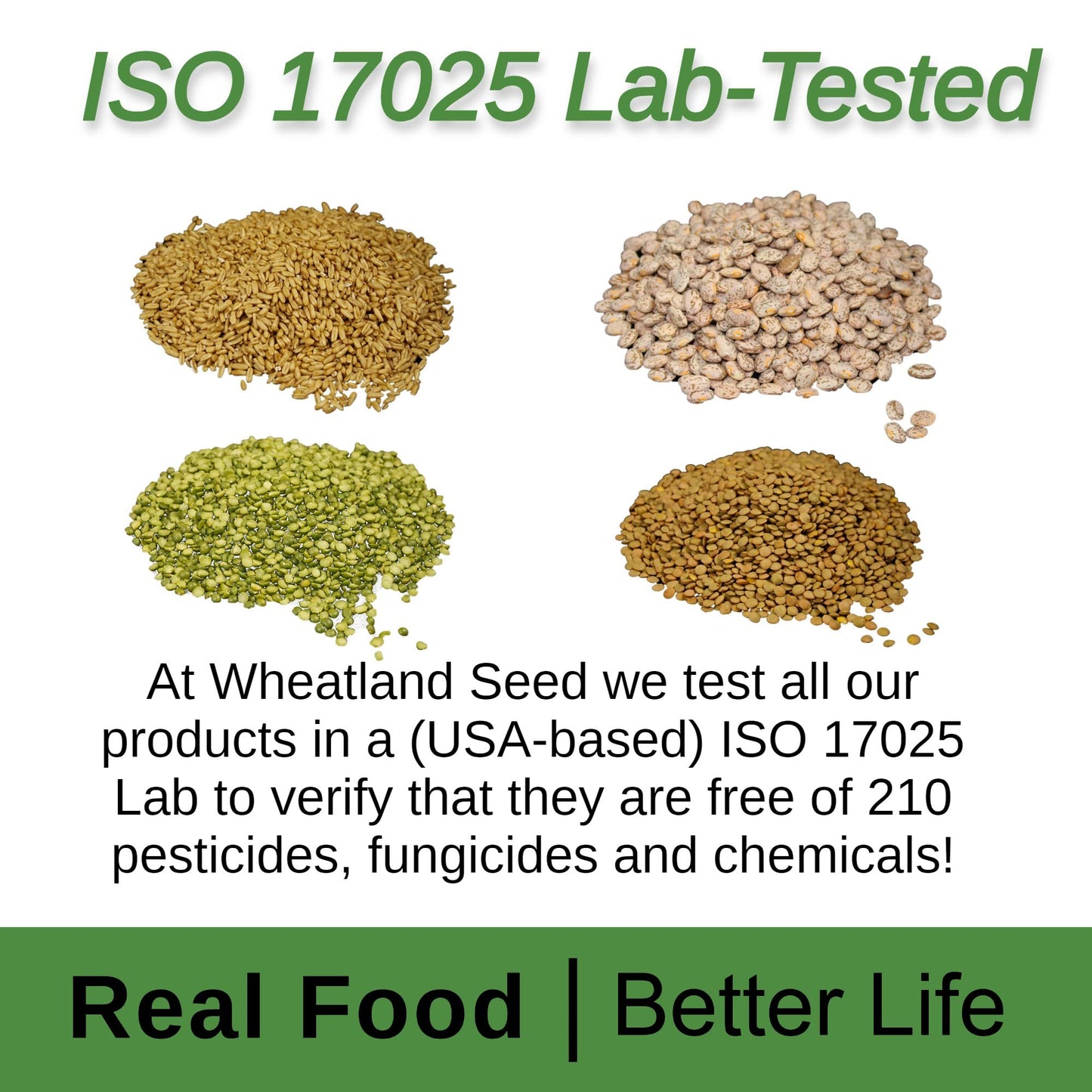 WHEATLAND Hard Red Wheat Berries - 25 lb Bulk, Non-GMO, Long Term Food Storage, Mylar with Oxygen Absorber