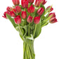 Blooms2Door Fresh Flowers - Fall Collection Red Tulips - 20 Stems - Gift for Birthday, Sympathy, Anniversary, Valentines Day