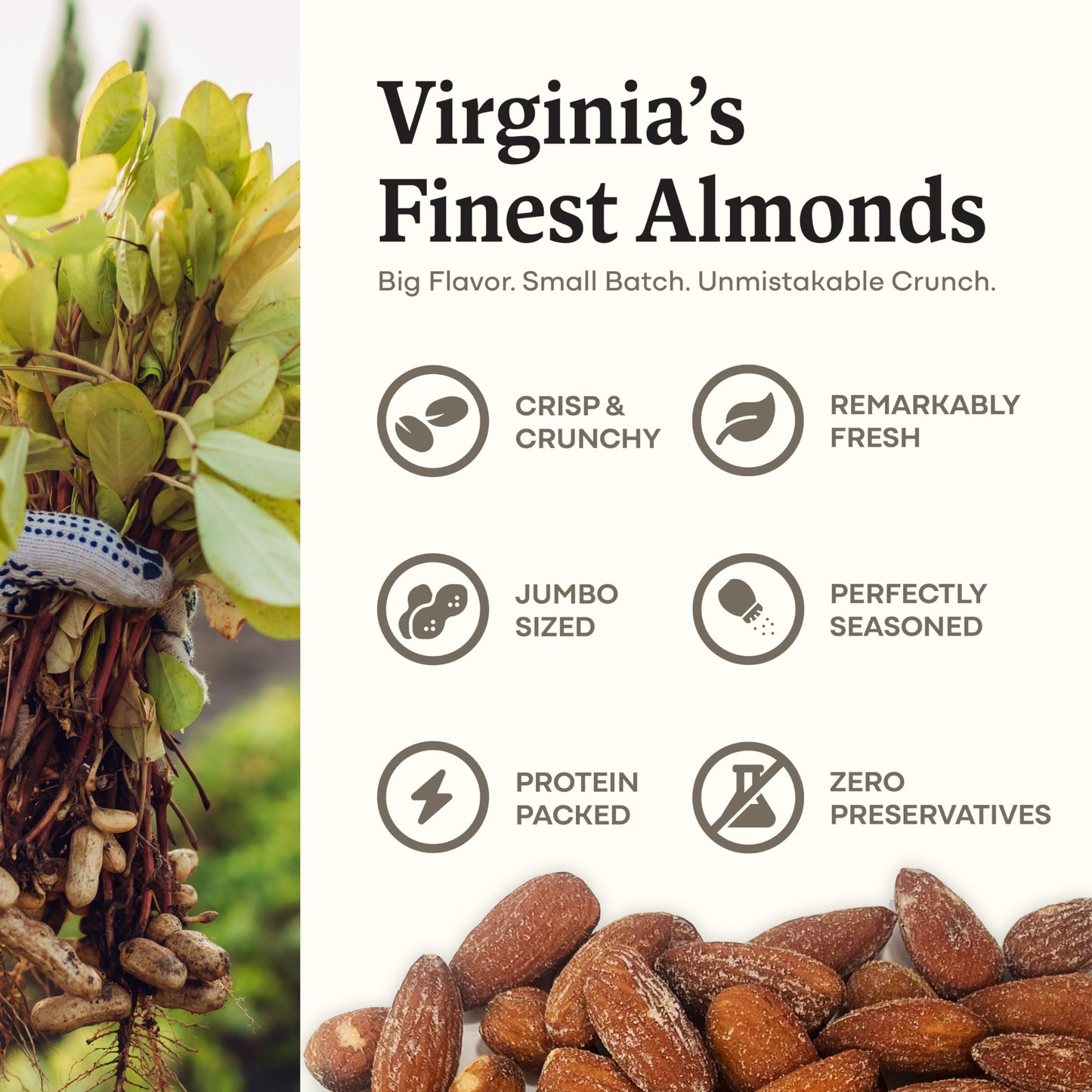 Belmont Peanuts Gourmet Lightly Sea-Salted Almonds, 18 oz, 3 Simple Ingredients, No Preservatives