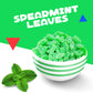 Spearmint Leaves Jelly Candy, Minty Slices (2 Pound Bag)