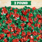 Strawberry Filled Hard Candy Bon Bons 2 lbs Bulk Pack - Individually Wrapped Fruit-Filled Candy  Classic Strawberry Hard Candy for Holiday   Parties  and Snacks