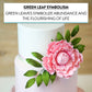 Global Sugar Art Dark Green Leaf Sugar Cake Flower Sprays, 4 Count, Model S-PL-9954