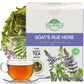 WILDFIELD HERBS Goats Rue Herb Tea - 1.8 oz (50 g) - Galega officinalis - Herbal Tea