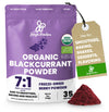 Jungle Powders Black Currant Powder Organic 5 Ounce Bag, Freeze Dried Currants Fruit Black Current Tea Juice, Blackcurrant Extra