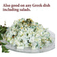 The Spice Way Tzatziki Seasoning Dip 2 oz - Ideal for Dips and Dressings