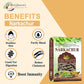Birju Mahavir Narkachur - Kali Haldi - Nar Kachur - Narkchaur - Curcuma Zerumbet - Zedoary Root - Black Turmeric 400 Gr