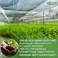 Natural Pandan Leaves Dried, Pandan Leaf Powder, 100% Pure Dried Pandan Leaves, Pandan Leaf Tea, No Additives, No Caffeine, Vegan