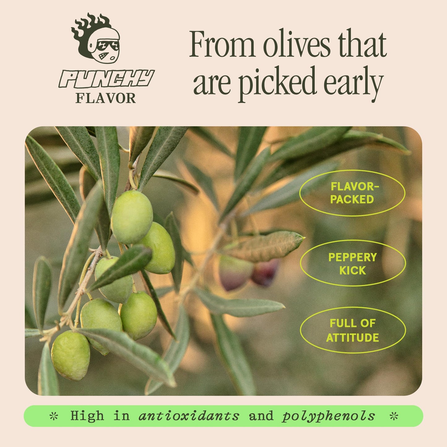 Graza Extra Virgin Olive Oil, High Polyphenol Finishing Oil, 16.9 Fl Oz Refill Can, Single Farm Olives from Spain