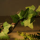Aqua Kt Reptile Corner Branch Terrarium Plant Decoration With Suction Cup For Amphibian Lizard Snake Climbing