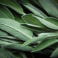 U.S. Wellness Naturals Organic Sage Leaf  1 Pound  Cut and Sifted Loose Leaf Tea and Seasoning  Albanian Origin