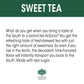 Arizona Sweet Tea Premium Brewed Southern Style, 20 Fl Oz, Pack Of 24