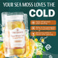 TrueSeaMoss Sea Moss Gel - Made in USA - Wildcrafted Seamoss, Fruits & Jarred Vegetables - Mango, Pack of 2 (Labels may Vary)