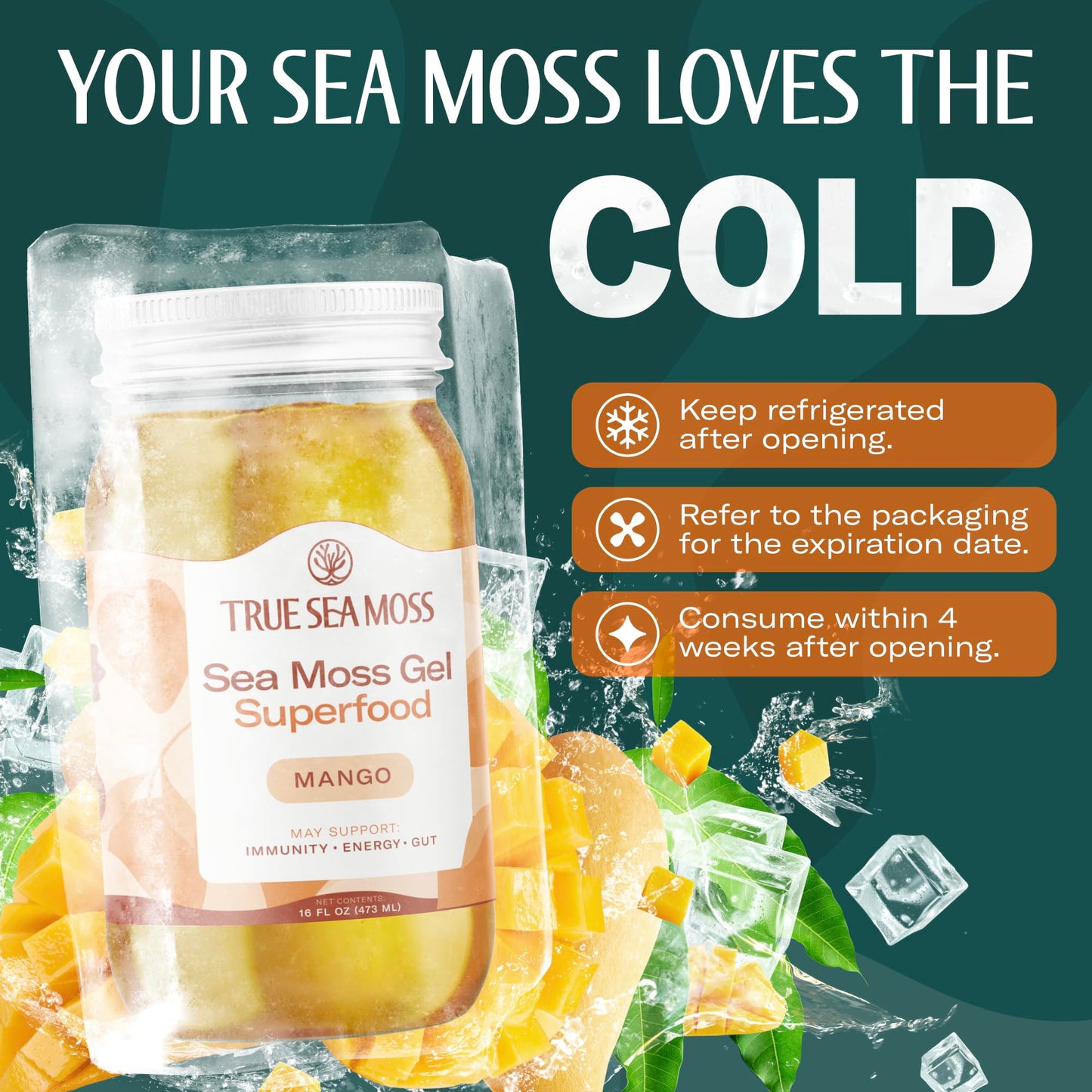 TrueSeaMoss Sea Moss Gel - Made in USA - Wildcrafted Seamoss, Fruits & Jarred Vegetables - Mango, Pack of 2 (Labels may Vary)