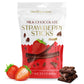 BEEMAX Belgian Chocolate Covered Fruit Sticks - Gourmet Dried Fruit Treat, 3.5 oz Resealable Pouch, Non-GMO, Milk Chocolate, Strawberry