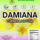 Damiana Leaf Tea (Turnera diffusa) - 4 oz Loose Herbal Te - Authentic Mexican Origin - 100% Natural  Non-GMO  Caffeine-Free  Gluten-Free  Vegan - Herbal Infusion by Bexpertsusa