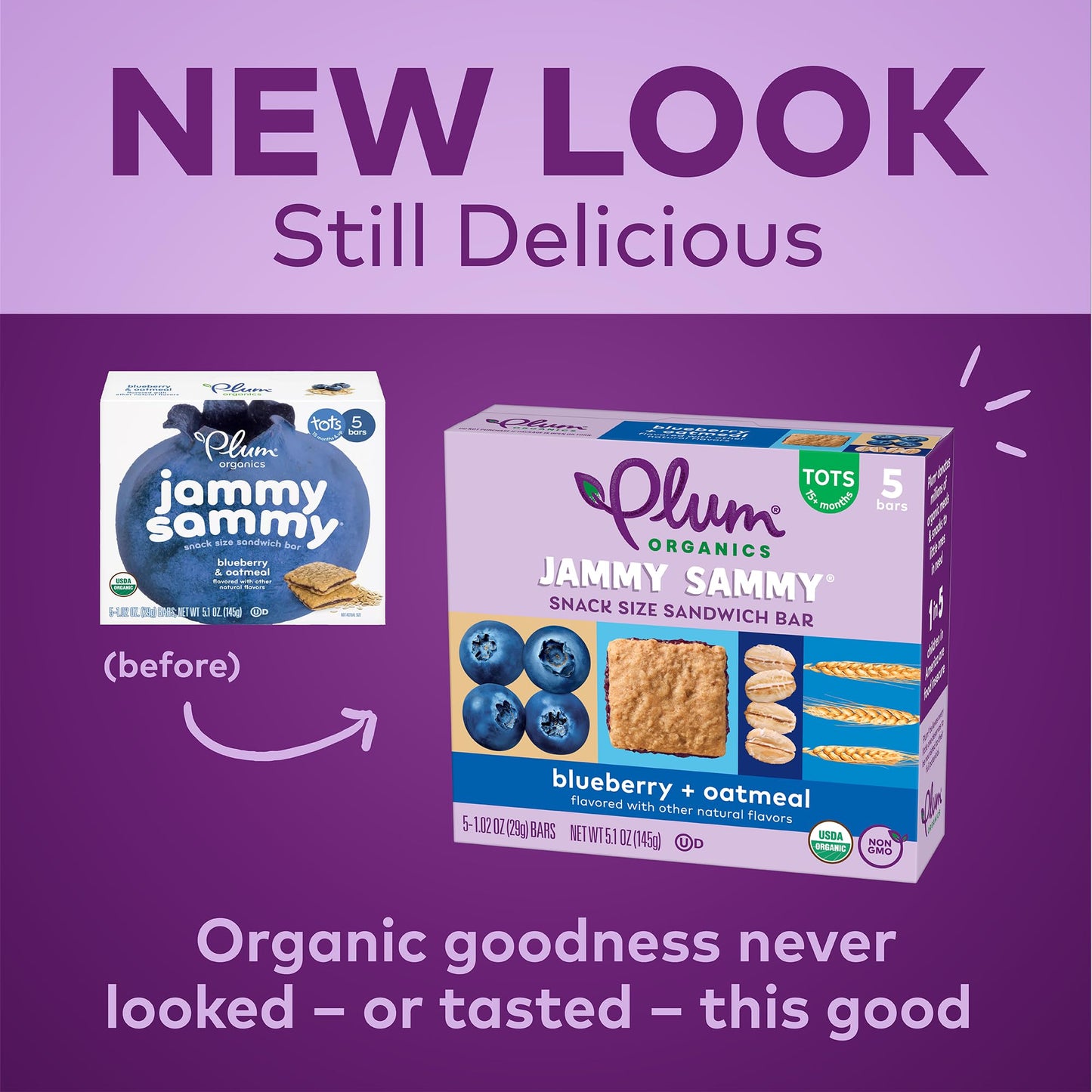 Plum Organics Jammy Sammy Snack Bars - Blueberry and Oatmeal - 1.02 oz Bars (Pack of 5) - Organic Toddler Food Snack Bars