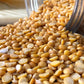 Split Yellow Lentils | Chana Dal | By Dasher'S Spice & Beans | 8 Lb