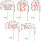 30Pcs Happy 13Th Birthday Cupcake Toppers Cheers To 13 Vintage 2012 Cupcake Picks Hello 13 Thirteen 13Th Birthday Decorations Fo