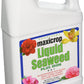 Maxicrop 1-Liter Seaweed Plus Iron