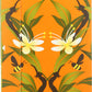 Pukka Herbal Teas Tea - Organic - Lemon Ginger And Manuka Honey - 20 Bags - Case Of 6