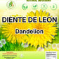 Diente de Le?n Herbal Tea - Dandelion Loose Leaf - 4 oz (113 g) - 100% Natural  Vegan  Non-GMO  Caffeine-Free - Traditional Herbal Infusion - by BexpertsUSA