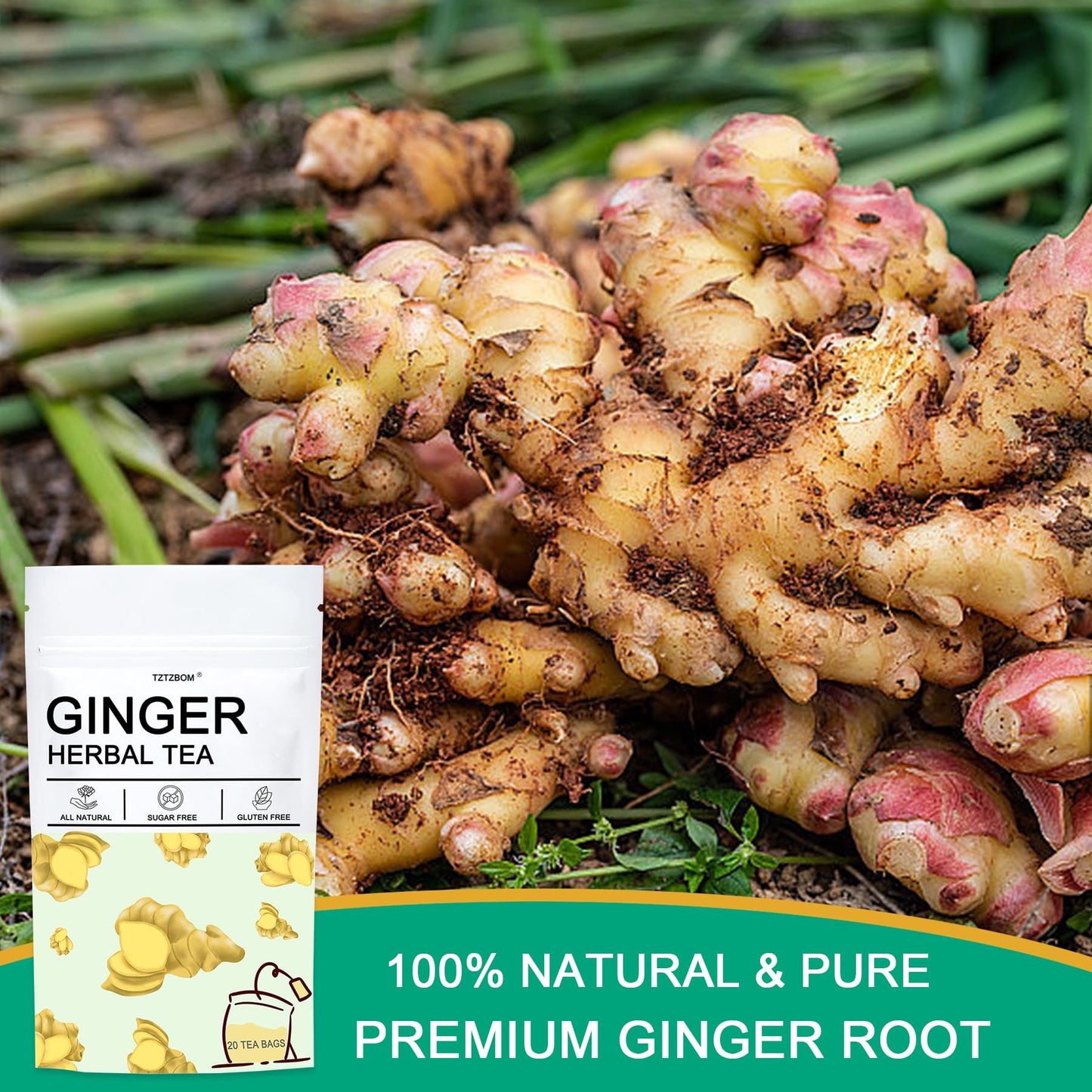 Tztzbom Ginger Tea Bags - 100% Pure Ginger Root & Lemon Peel & Liquorice Root - Soothing & Spicy Blend Natural Herbal Tea (20 Te