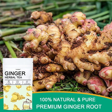 Tztzbom Ginger Tea Bags - 100% Pure Ginger Root & Lemon Peel & Liquorice Root - Soothing & Spicy Blend Natural Herbal Tea (20 Te