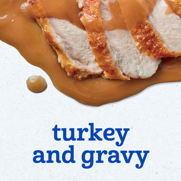 Gerber Turkey & Gravy Baby Food, 2.5 Oz