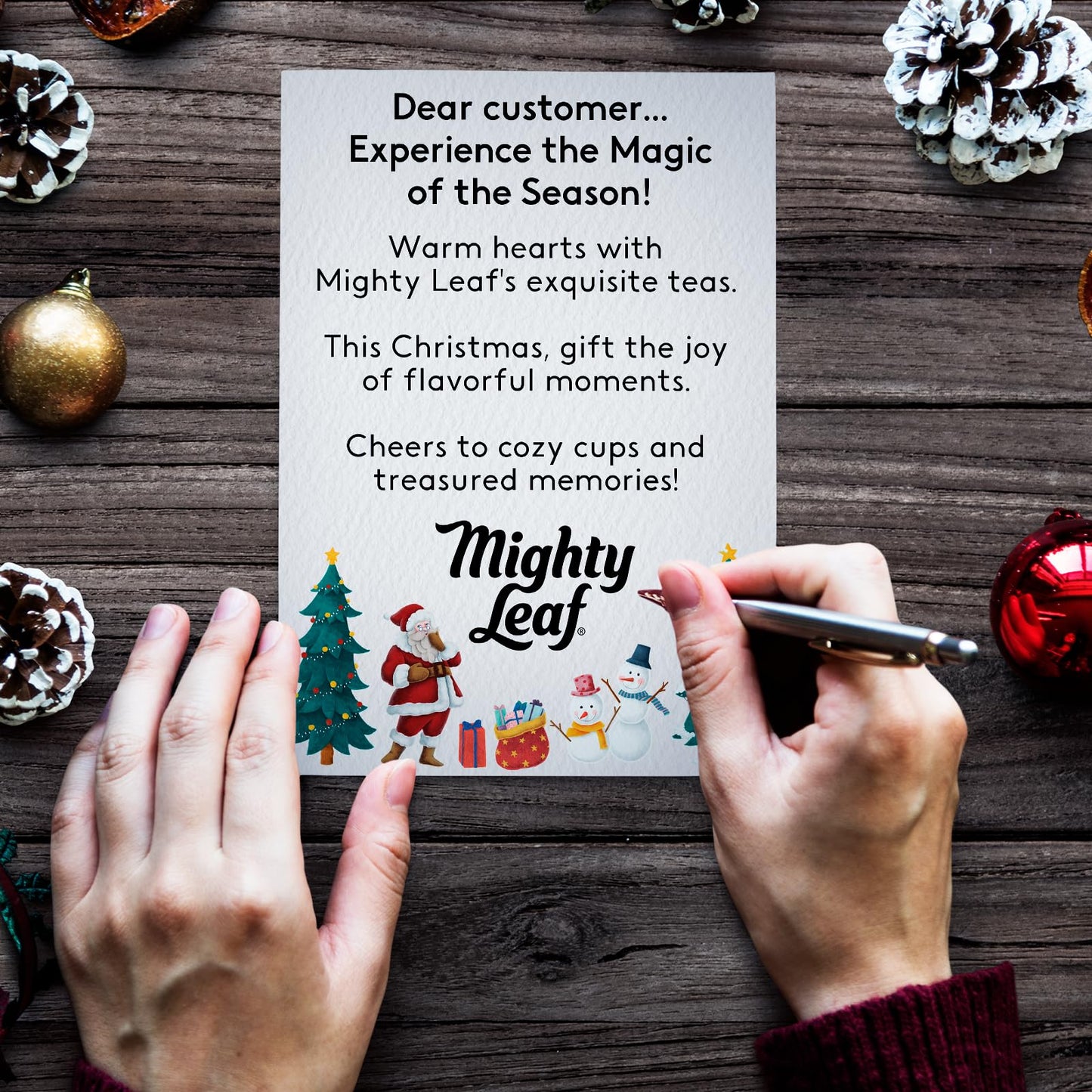 Mighty Leaf Organic Tea Sampler - 40 Count Silken Tea Bags - 8 Assorted Flavors Gift Box