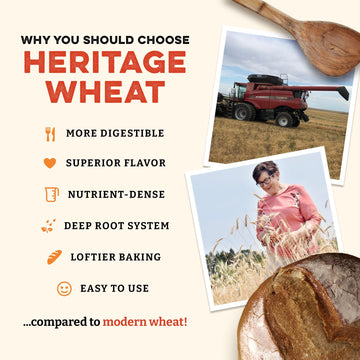 Sunrise Flour Mill Heritage Organic Whole Wheat Flour - 5 Lbs | Milled From Red Hard Wheat Within 10 Days | Easier To Digest Wit