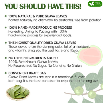 FRESHDRINKUS Natural Guava Leaves Herbal Tea, 100% Pure, 100 Count, Caffeine-Free, Vegan